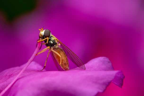 Bug Bracelets: When and How to Rock Them All Year Round